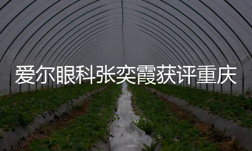愛爾眼科張奕霞獲評重慶市南岸區2023年優秀醫師稱號