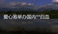 愛心籌舉辦國內(nèi)**白血病自救沙龍