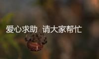 愛心求助  請大家幫忙找找我15歲的女兒