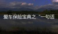 愛車保險寶典之“一句話讀懂險種”篇