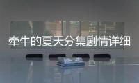 牽牛的夏天分集劇情詳細介紹第24集