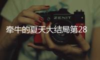 牽牛的夏天大結局第28集
