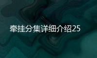 牽掛分集詳細介紹25