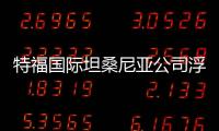 特福國際坦桑尼亞公司浮法玻璃廠一期點火,國際動態