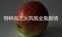 特種兵之火鳳凰全集劇情（特種兵之火鳳凰全集）
