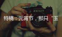 特稿：元宵節，那只“玉兔”在月球看到了啥