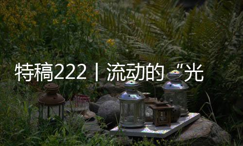 特稿222丨流動的“光”照亮回家的路
