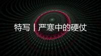 特寫丨嚴(yán)寒中的硬仗