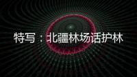 特寫：北疆林場話護林