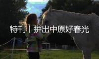 特刊丨拼出中原好春光