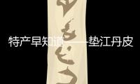 特產早知道——墊江丹皮
