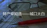 特產早知道——城口太白貝母