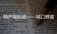 特產早知道——城口蜂蜜