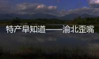 特產(chǎn)早知道——渝北歪嘴李