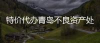 特價代辦青島不良資產(chǎn)處置公司1000萬不良資產(chǎn)處置公司轉(zhuǎn)讓