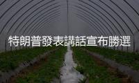 特朗普發表講話宣布勝選　承諾幫助美國「治癒」傷痛