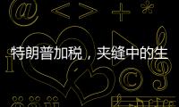 特朗普加稅，夾縫中的生意人怎么辦？