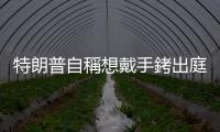 特朗普自稱想戴手銬出庭受審　藉機創造「奇觀」
