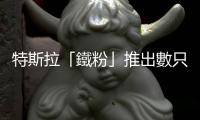 特斯拉「鐵粉」推出數只新基金　提供投資xAI和SpaceX的機會