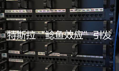 特斯拉“鯰魚效應”引發連鎖反應 多款新能源車宣布降價