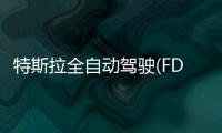 特斯拉全自動(dòng)駕駛(FDS)上路實(shí)測！