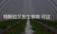 特斯拉又發生事故 可這次撞得還不賴