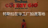 特斯拉在華工廠加速落地 自主品牌的危機來了?