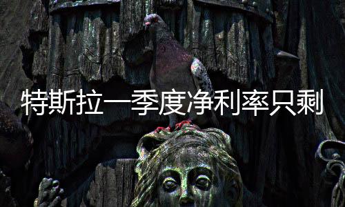 特斯拉一季度凈利率只剩2% 內外因素致利潤下滑