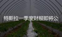 特斯拉一季度財報即將公布 預計25億美元