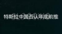 特斯拉中國否認年底前推出新的降價手段報道