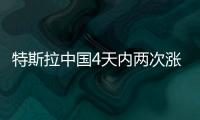 特斯拉中國4天內(nèi)兩次漲價 特斯拉毛利率已接近20%紅線