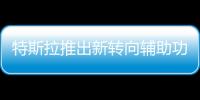 特斯拉推出新轉向輔助功能 防止車輛偏離車道