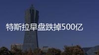 特斯拉早盤跌掉500億美元！比亞迪VS特斯拉，Q3業績到底如何？