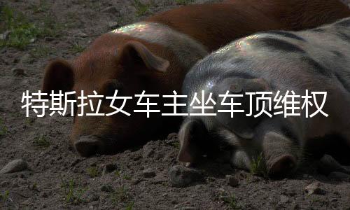 特斯拉女車主坐車頂維權(quán)