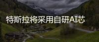 特斯拉將采用自研AI芯片 性能提高10倍