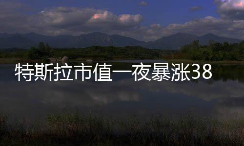 特斯拉市值一夜暴漲3800億 創下10年來最大單周漲幅！