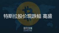 特斯拉股價現跌幅 高盛預計目標股價減半