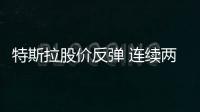 特斯拉股價反彈 連續兩日漲幅達到了17％