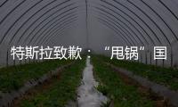 特斯拉致歉：“甩鍋”國家電網(wǎng)是個誤會