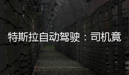 特斯拉自動駕駛：司機竟車內酣睡