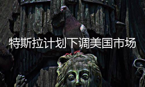 特斯拉計劃下調美國市場汽車售價  特斯拉在中國首次建立儲能工廠