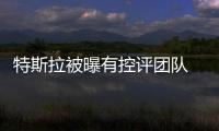 特斯拉被曝有控評團隊 刪除負面評論