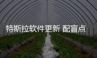 特斯拉軟件更新 配盲點警告/自動折疊后視鏡