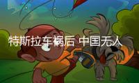 特斯拉車(chē)禍后 中國(guó)無(wú)人駕駛市場(chǎng)能做多大