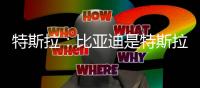 特斯拉：比亞迪是特斯拉首個且唯一的挑戰(zhàn)者