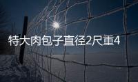特大肉包子直徑2尺重40斤　足夠80人飽餐