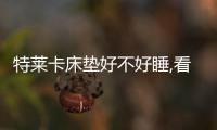 特萊卡床墊好不好睡,看看消費者真實反饋就知道了