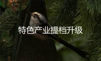 特色產(chǎn)業(yè)提檔升級(jí)