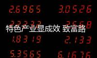 特色產(chǎn)業(yè)顯成效 致富路上步伐穩(wěn)