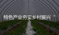 特色產業夯實鄉村振興“硬實力”_
